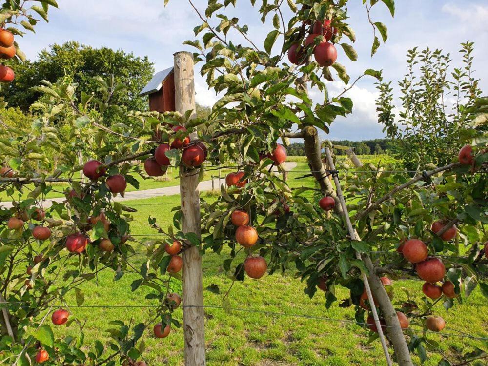 De Weitens Valkenswaard Esterno foto