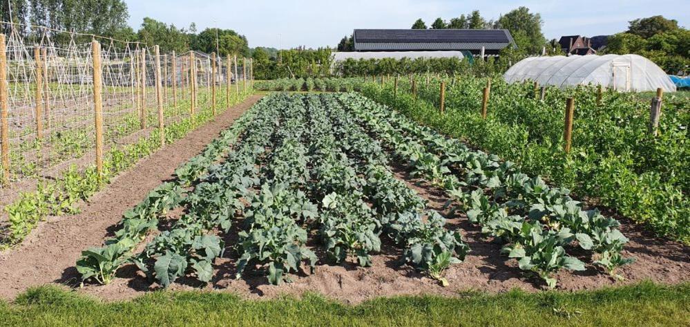 De Weitens Valkenswaard Esterno foto